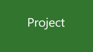 Project 2021项目管理工具软件安装包免费下载安装教程