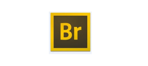 Adobe Bridge 2022安装包免费下载安装教程